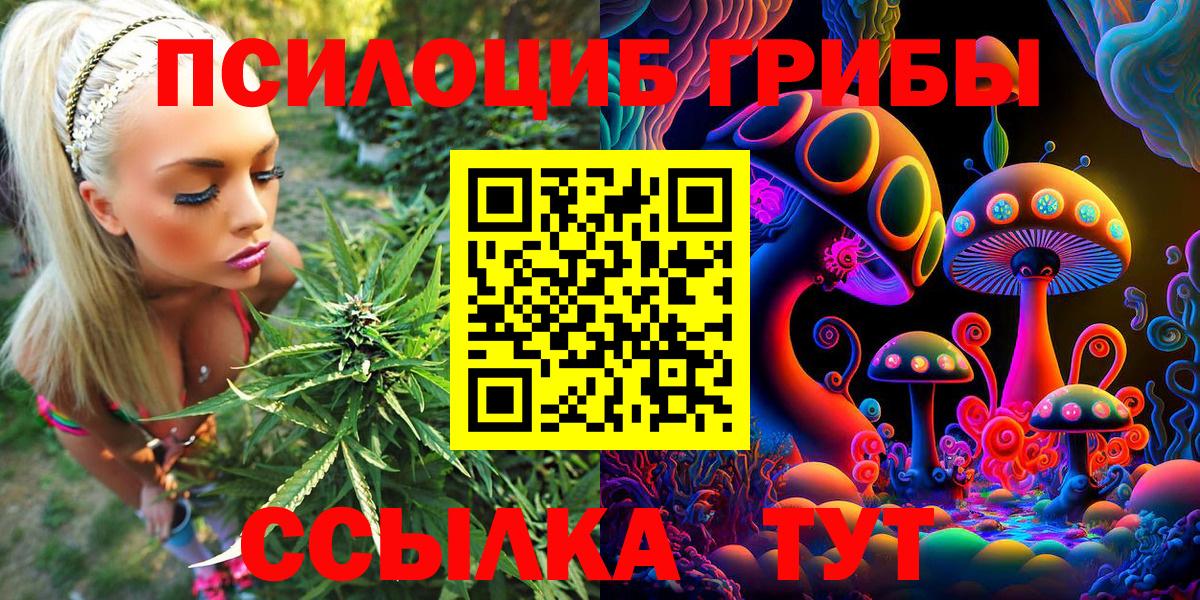 Галлюциногенные грибы GOLDEN TEACHER  Вход с VPN  Псилоцибиновые грибы мицелий  Елизово 